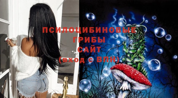 СК Протвино