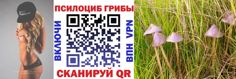Галлюциногенные грибы прущие грибы  Дрезна 